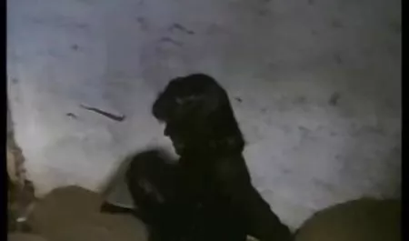 Kecantikan seksi Mandy masturbasi indo selingkuh 3gp vagina manis di stoking putih