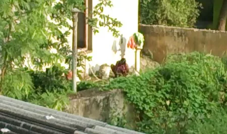 Gadis mengisap kontol setelah berhubungan seks indo 3gp xx